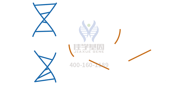 <b>【万象城AWC(中国)基因检测</b>